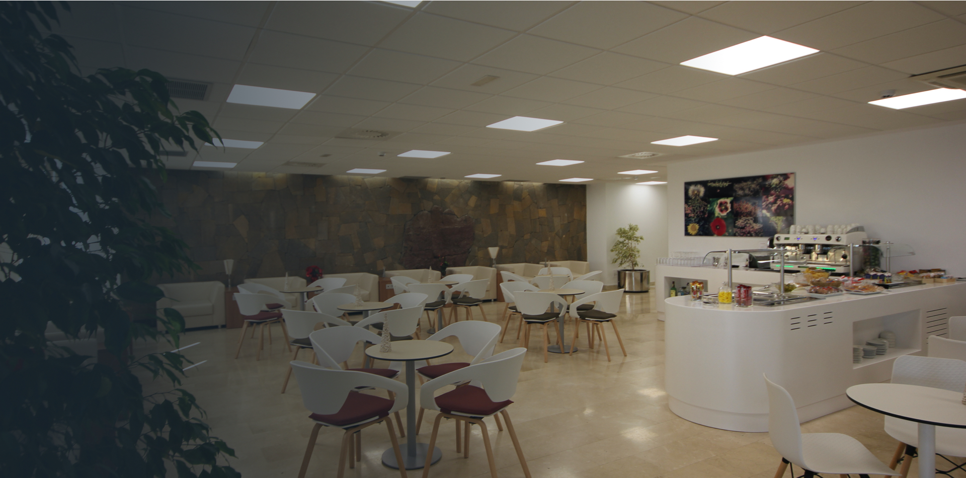Guacimeta VIP Lounge Guacimeta VIP Lounge